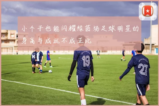 小个子也能闪耀绿茵场足球明星的身高与成就不成正比