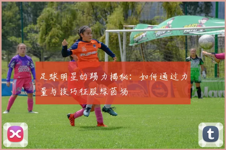 足球明星的踢力揭秘：如何通过力量与技巧征服绿茵场