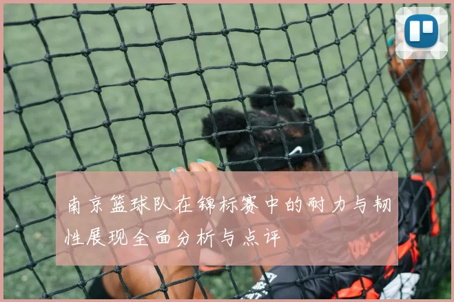 南京篮球队在锦标赛中的耐力与韧性展现全面分析与点评