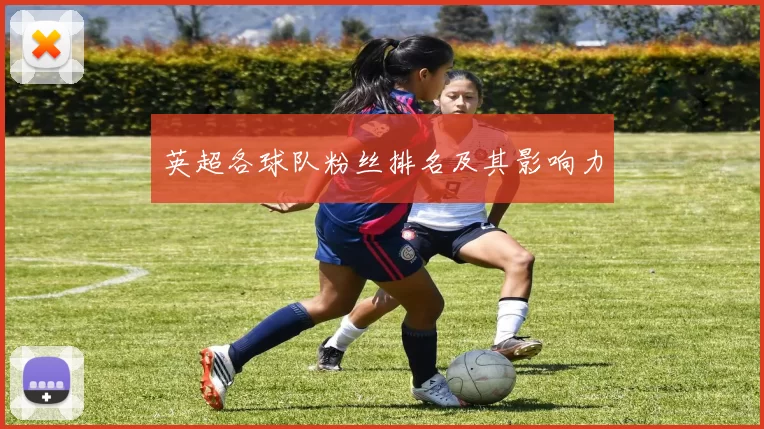 英超各球队粉丝排名及其影响力