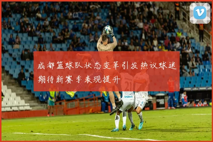 成都篮球队状态变革引发热议球迷期待新赛季表现提升