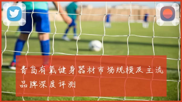 青岛有氧健身器材市场规模及主流品牌深度评测