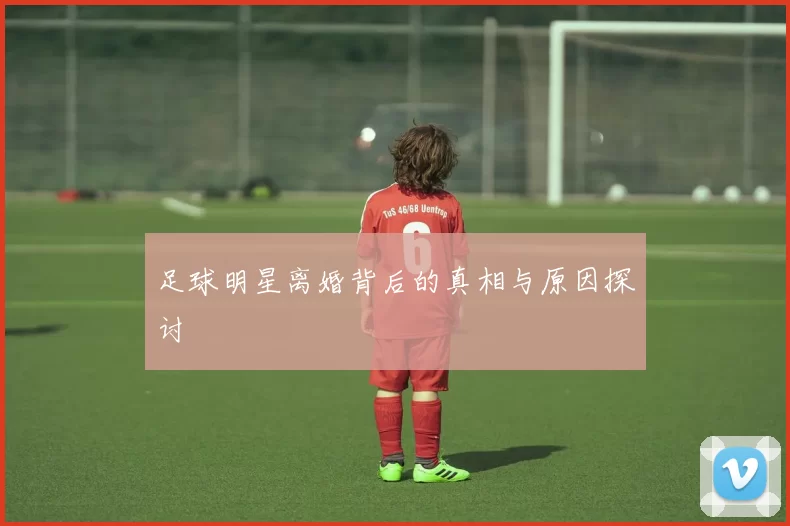 足球明星离婚背后的真相与原因探讨