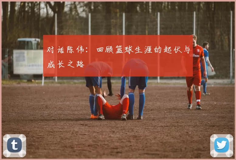 对话陈伟：回顾篮球生涯的起伏与成长之路