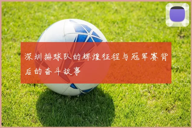 深圳排球队的辉煌征程与冠军赛背后的奋斗故事