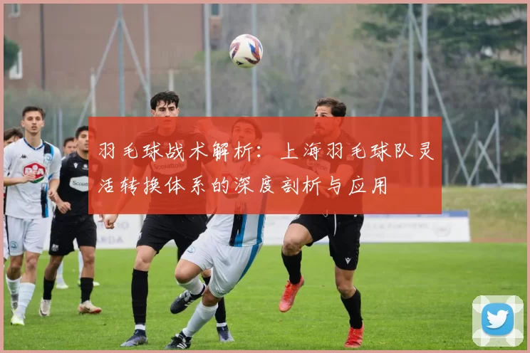 羽毛球战术解析：上海羽毛球队灵活转换体系的深度剖析与应用