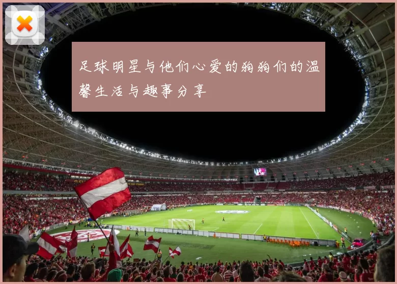 足球明星与他们心爱的狗狗们的温馨生活与趣事分享