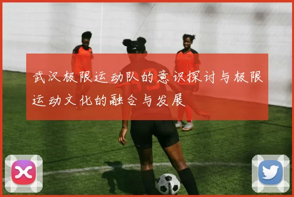 武汉极限运动队的意识探讨与极限运动文化的融合与发展