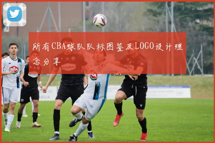 所有CBA球队队标图鉴及LOGO设计理念分享