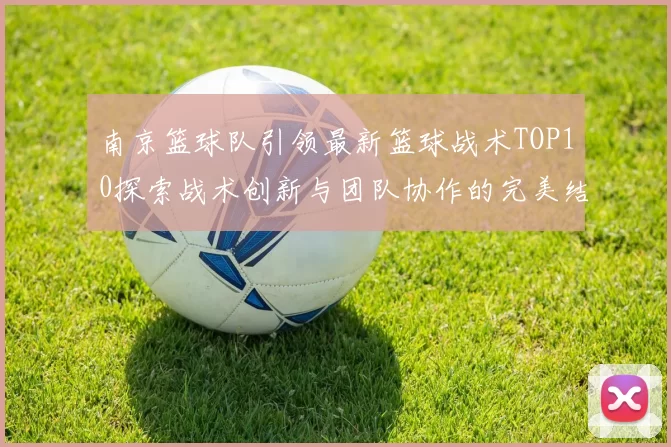南京篮球队引领最新篮球战术TOP10探索战术创新与团队协作的完美结合