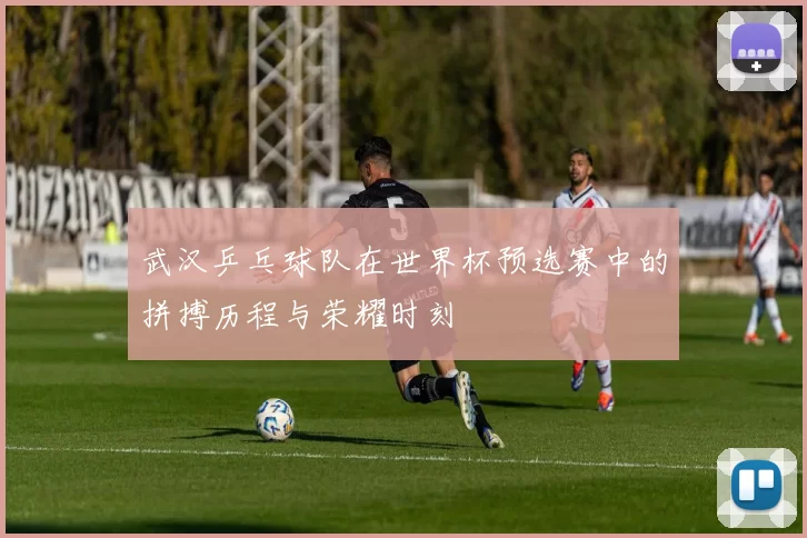 武汉乒乓球队在世界杯预选赛中的拼搏历程与荣耀时刻