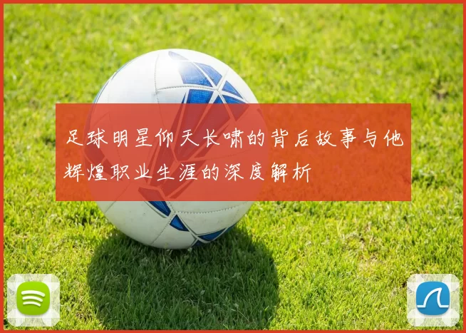 足球明星仰天长啸的背后故事与他辉煌职业生涯的深度解析