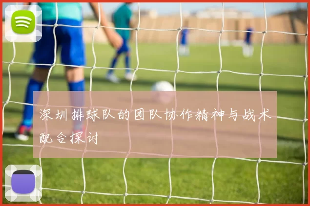 深圳排球队的团队协作精神与战术配合探讨