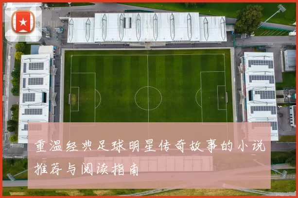 重温经典足球明星传奇故事的小说推荐与阅读指南
