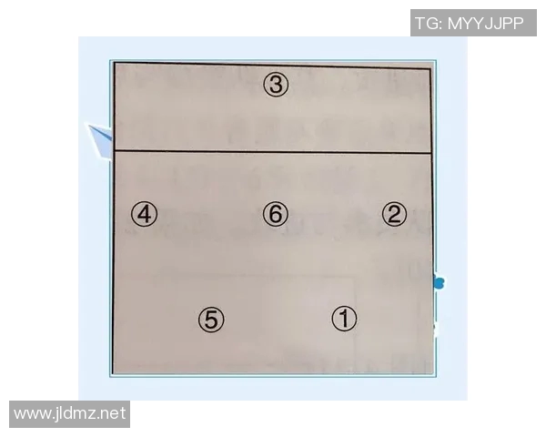 西安排球队控制打法的深度分析与战术解读