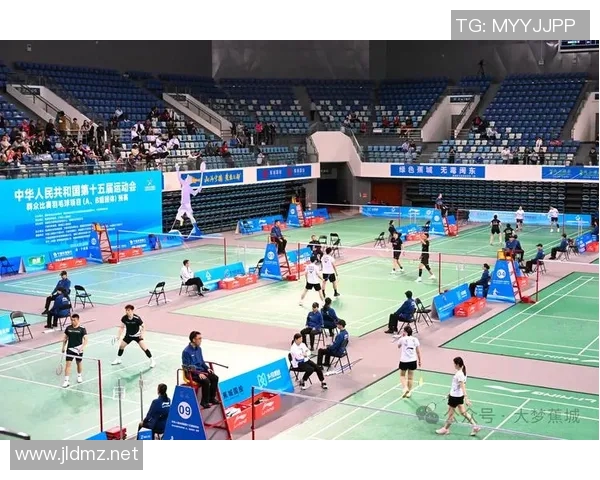 羽毛球的魅力：深入了解重庆羽毛球队的团队精神与协作之道