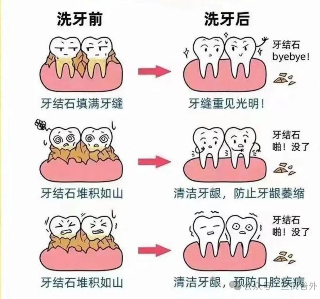 必一运动官网局部导航(图3)